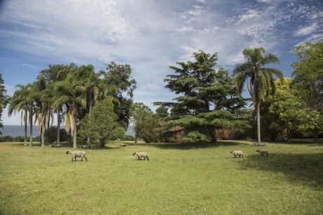 Primera Categoria En La Costa Oeste De Mdeo.