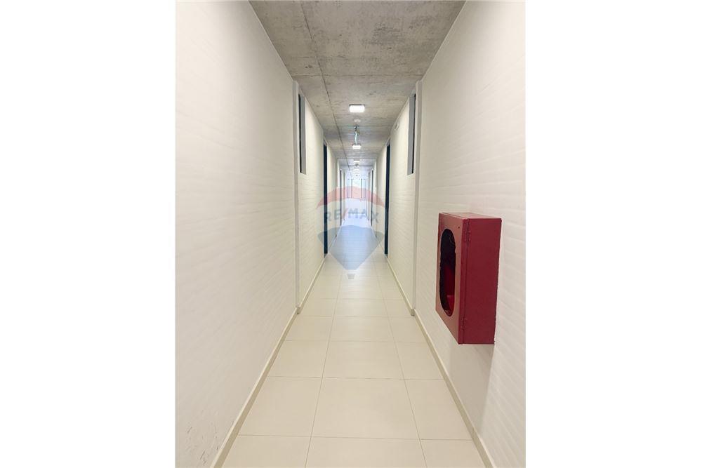 ALQUILO DEPARTAMENTO LUQUE CONDOMINIO INSIGNIA — foto 3