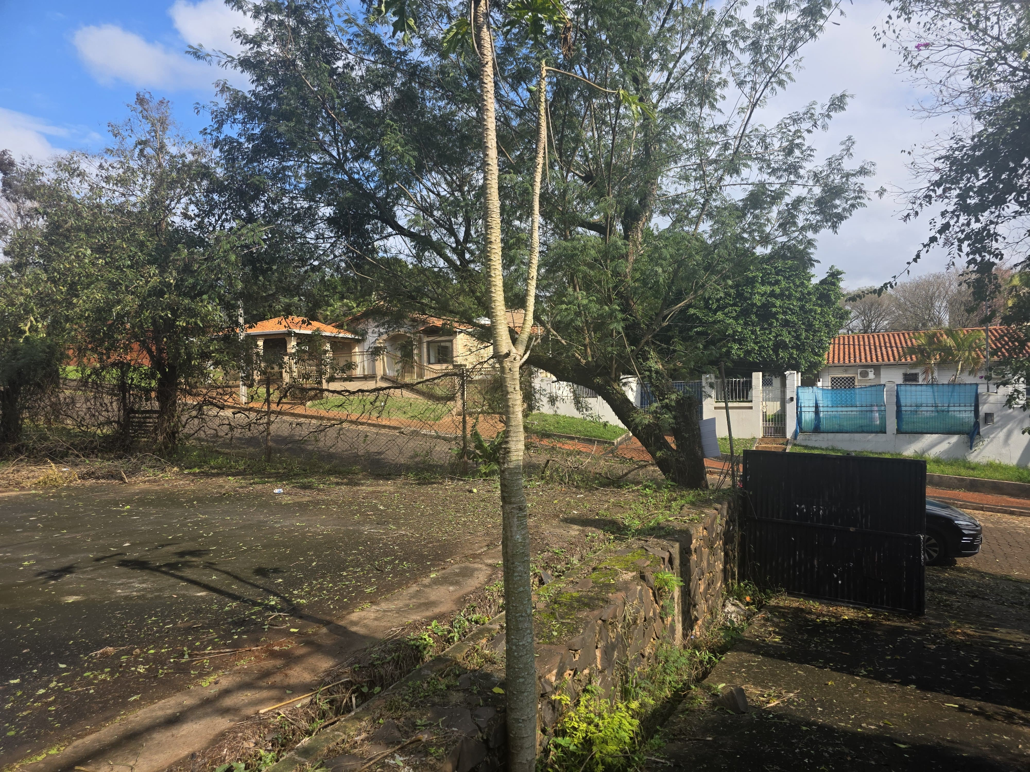 VENDO 1.768M2 A PASOS DEL PARQUE LINEAL DEL ÁREA 1!! — foto 3