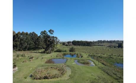 Centro Logístico Luis Batlle Berres