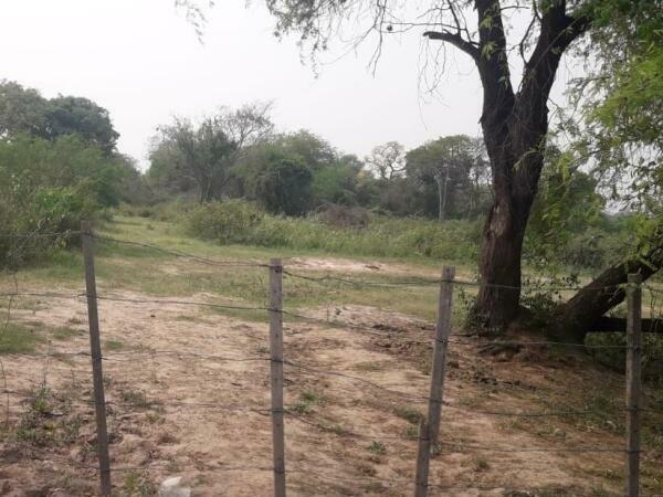 VENDO 3 HECTAREAS EN NUEVA ASUNCION — foto 2