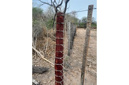 VENDO AMPLIO TERRENO EN TENIENTE ESTAB MARTINEZ — foto 3