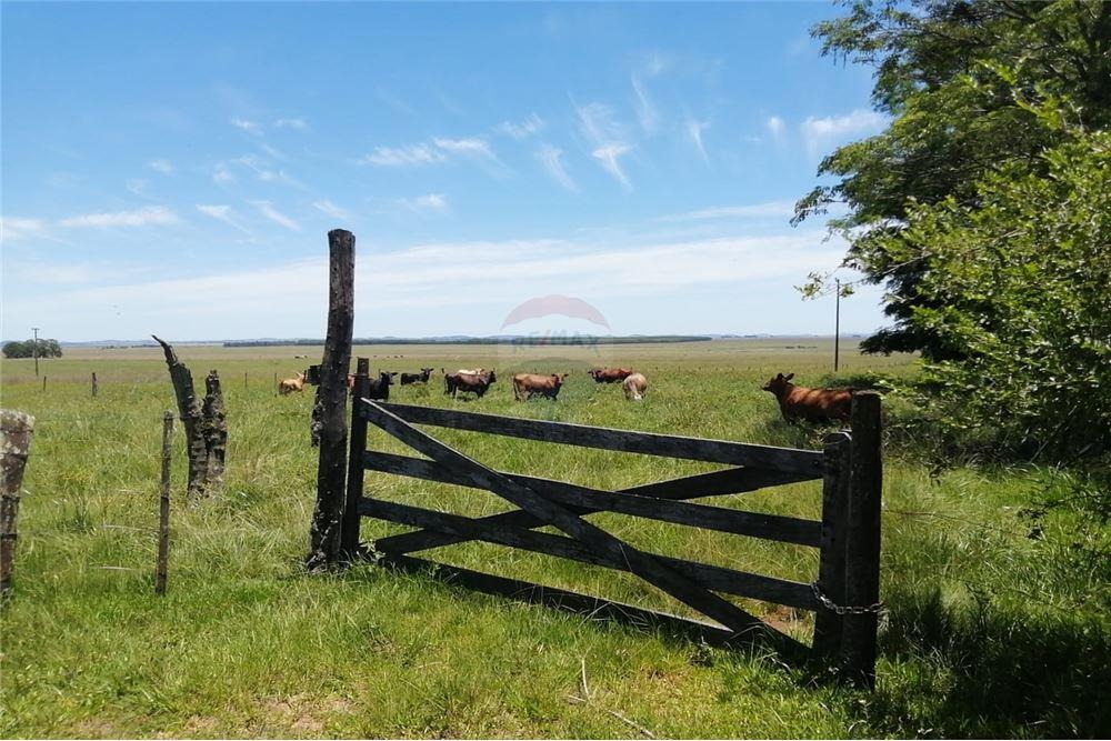 VENDO CAMPO EN SAN MIGUEL MISIONES SOBRE RUTA — foto 2