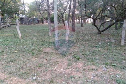 OPORTUNIDAD DE TERRENO EN CIERVO CUA — foto 3
