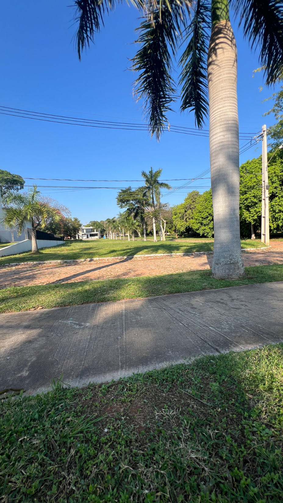 Terreno en Condominio Plaza Los Mangos Lambaré — foto 3