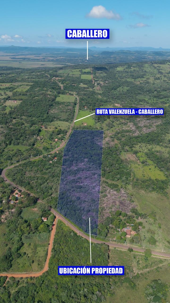 Venta de 6 hectareas, terrenos, Valenzuela — foto 2
