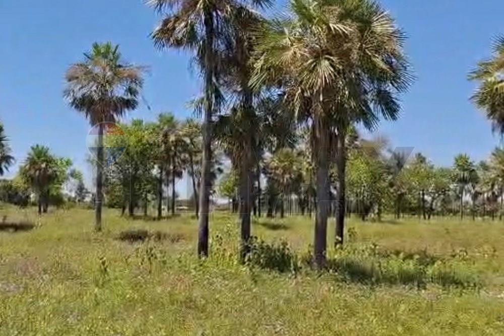 Terreno - Venta — foto 3
