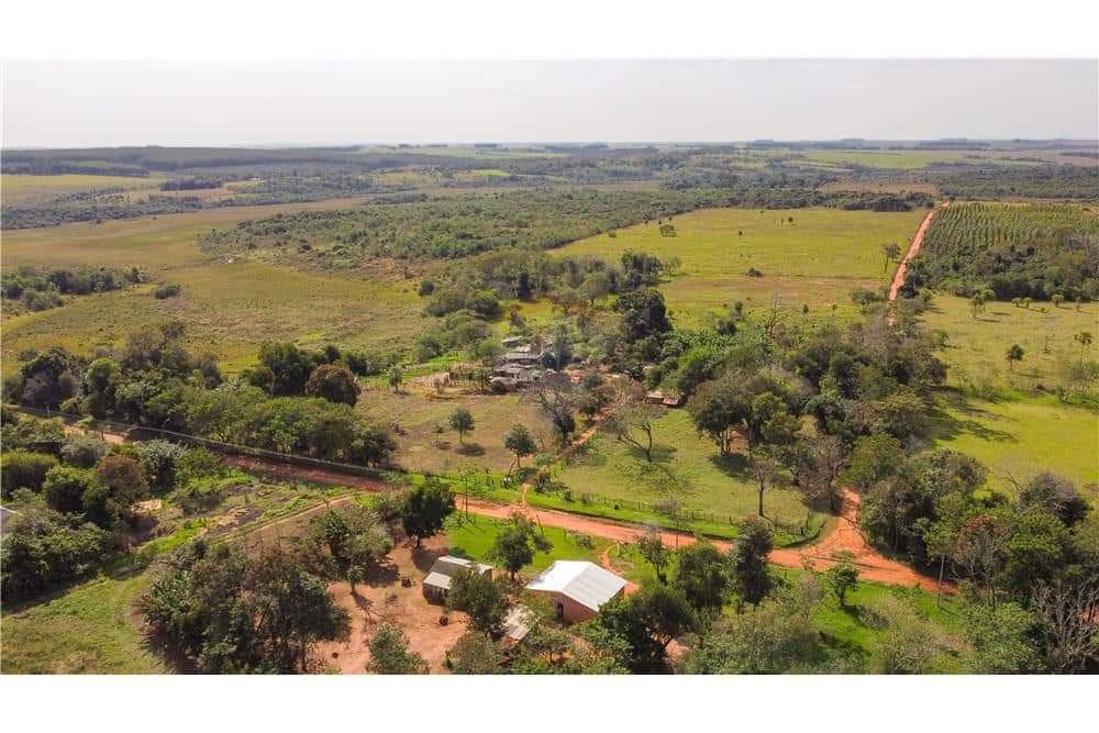 EN VENTA 20 HECTAREAS EN ITAKYRY - ALTO PARANÁ — foto 2