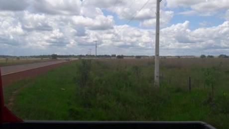Nueva Londres 100 Ha De Campo Natural Sobre Ruta
