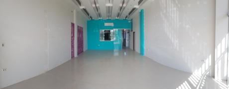 Amplio Local En Alquiler Sobre Avenida