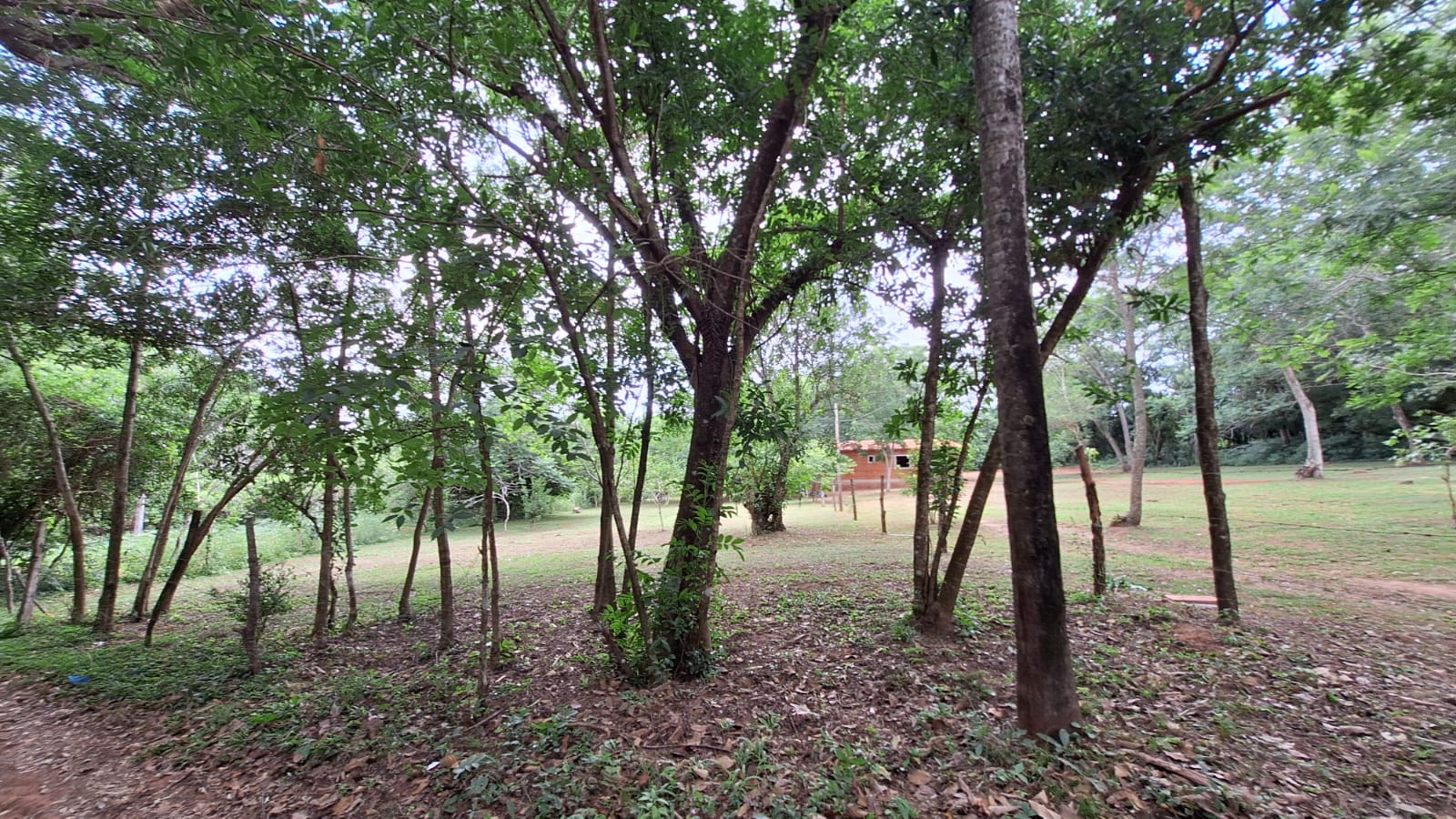 VENDO TERRENO EN EUSEBIO AYALA KM64 Z/ TUJUKUA — foto 3