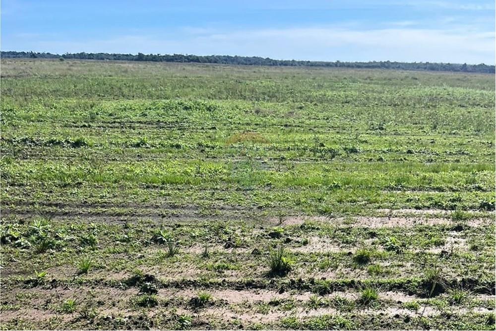 VENDO CAMPO AGRICOLA MECANIZADA EN SAN PEDRO DEL PARANA — foto 3
