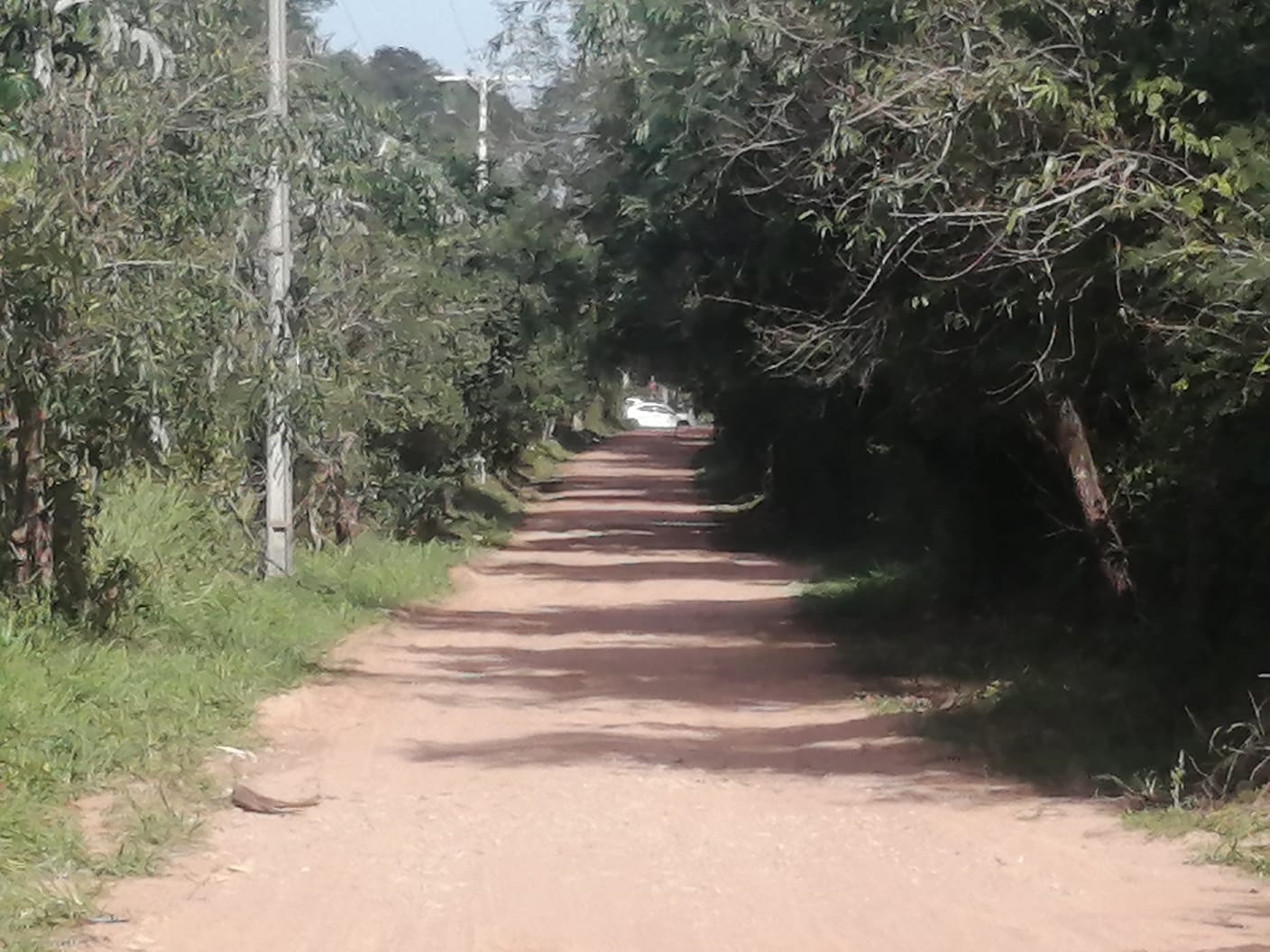 VENDO TERRENO SAN BERNARDINO - zona Ciervo cua — foto 3