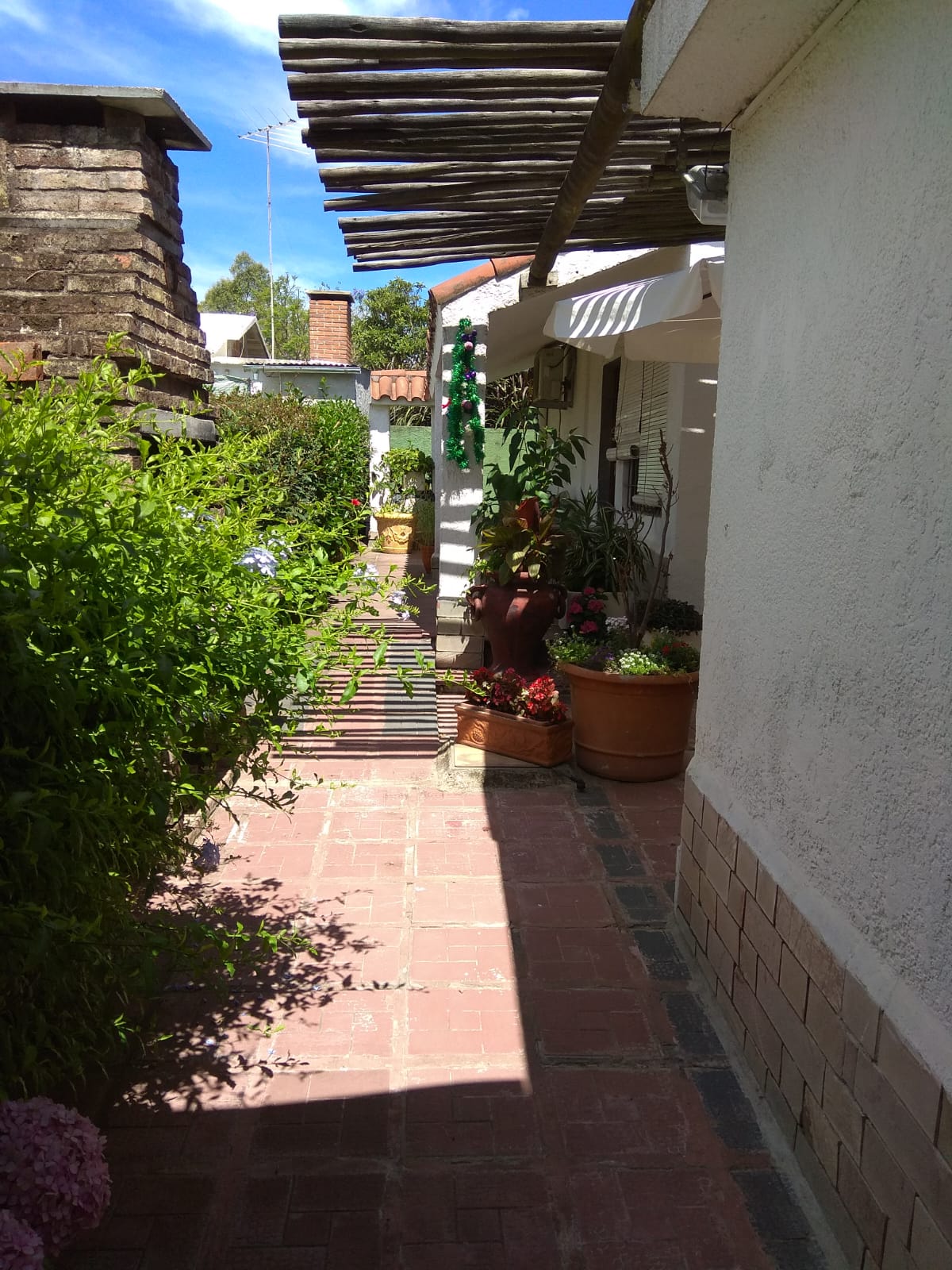 Apartamento alquiler anual San Luis · Foto 2