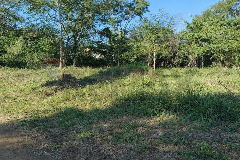 VENDO TERRENO, SAN LORENZO- ZONA P. DE JUSTICIA — foto 2