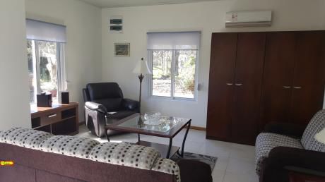 3 Dormitorios -2 Baños- Con Renta- Inmobiliaria Calipso
