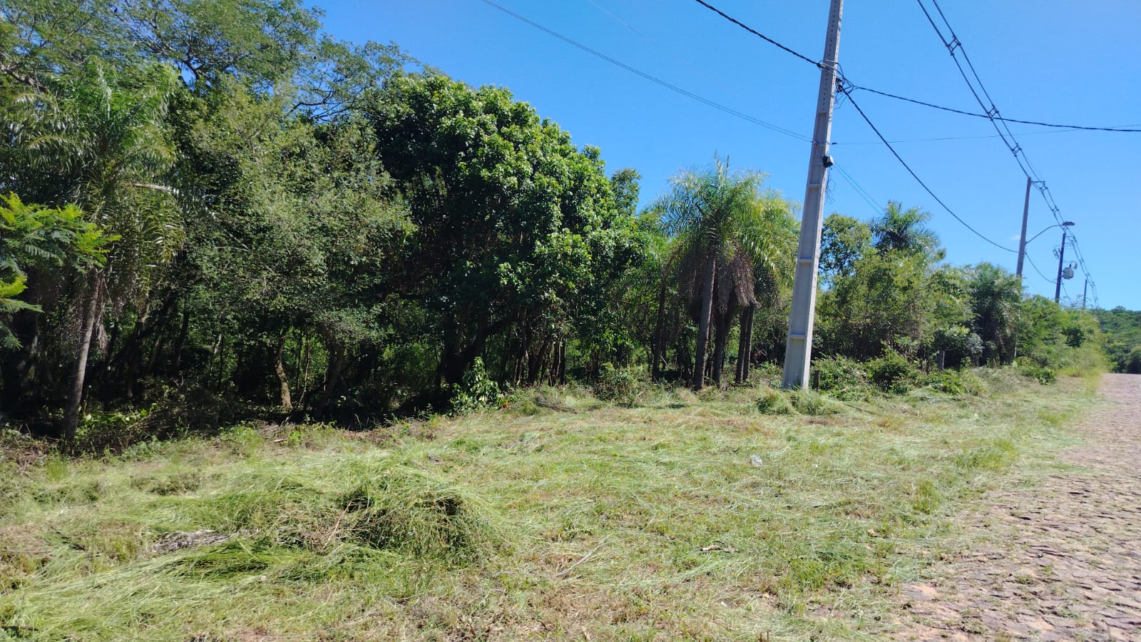 EN VENTA TERRENO EN SAN BERNARDINO — foto 3