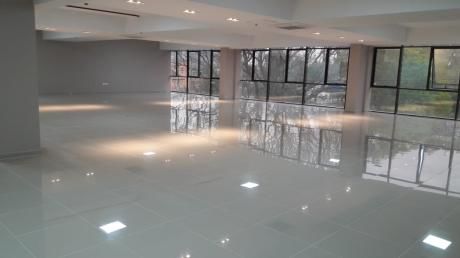 Zona Shop Del Sol, Amplia Planta Libre Para Oficinas
