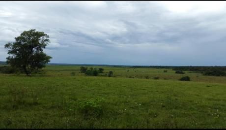 Campo De 30000 Hectareas Con Costa Al Rio Paraguay