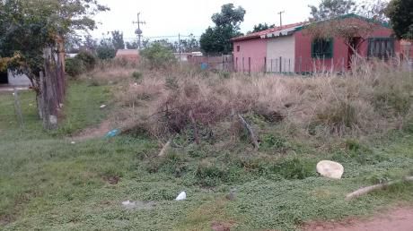 Unico Terreno En Limpio