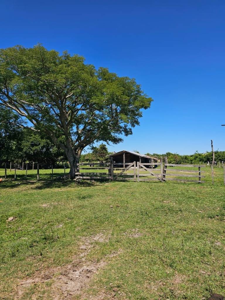 VENDO 3MIL HECTÁREAS EN PILAR — foto 2