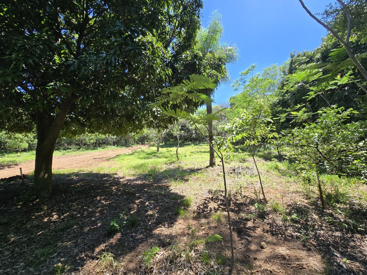 Terreno Con Vista A La Ciudad En San Bernardino — foto 3