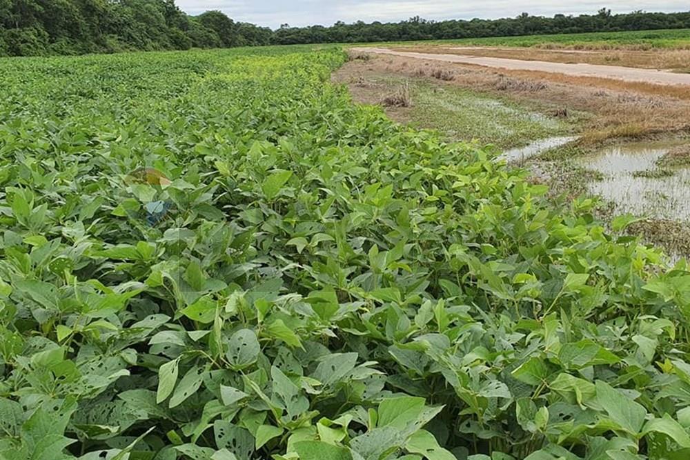 Venta Estancia en Agua Dulce Bahía Negra Chaco Pyo — foto 3