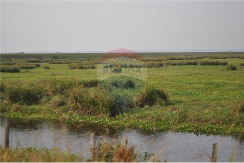 Vendo campo de 540 hectáreas en Juan de Mena Cordillera — foto 2