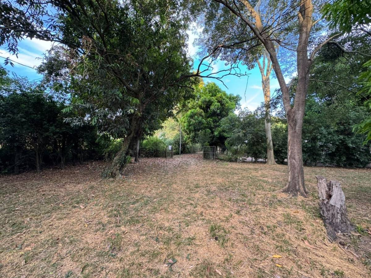 VENDO TERRENO DE 3.600 m2-SAN BERNARDINO | PUERTA DEL LAGO — foto 2