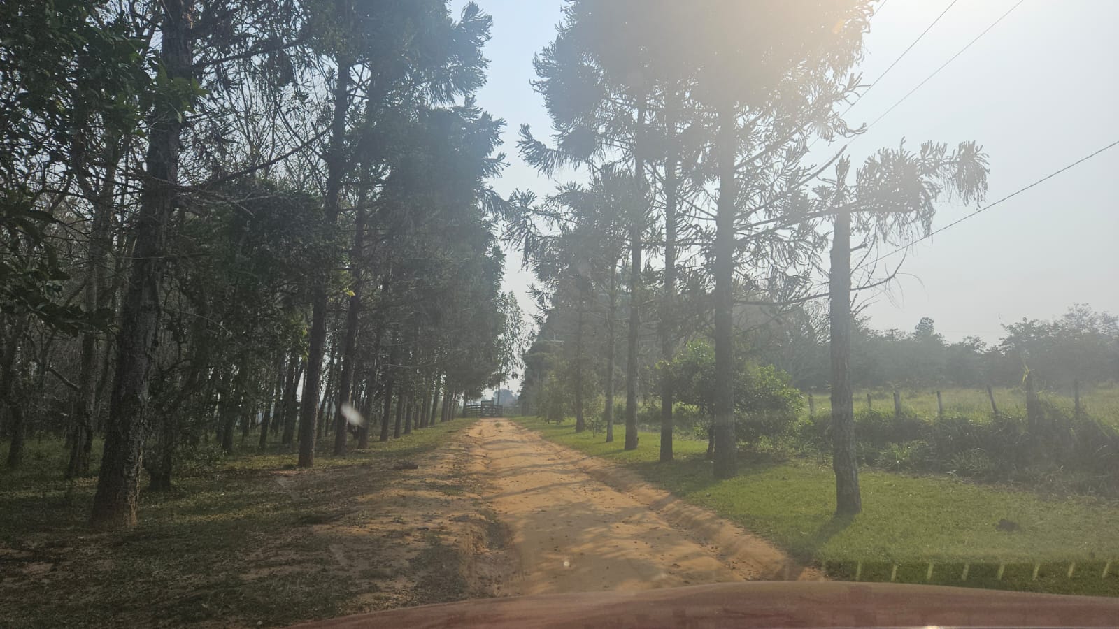 EN VENTA PROPIEDAD EN ITACURUBI DE LA CORDILLERA CON ARROYO - 55 Hectáreas — foto 3