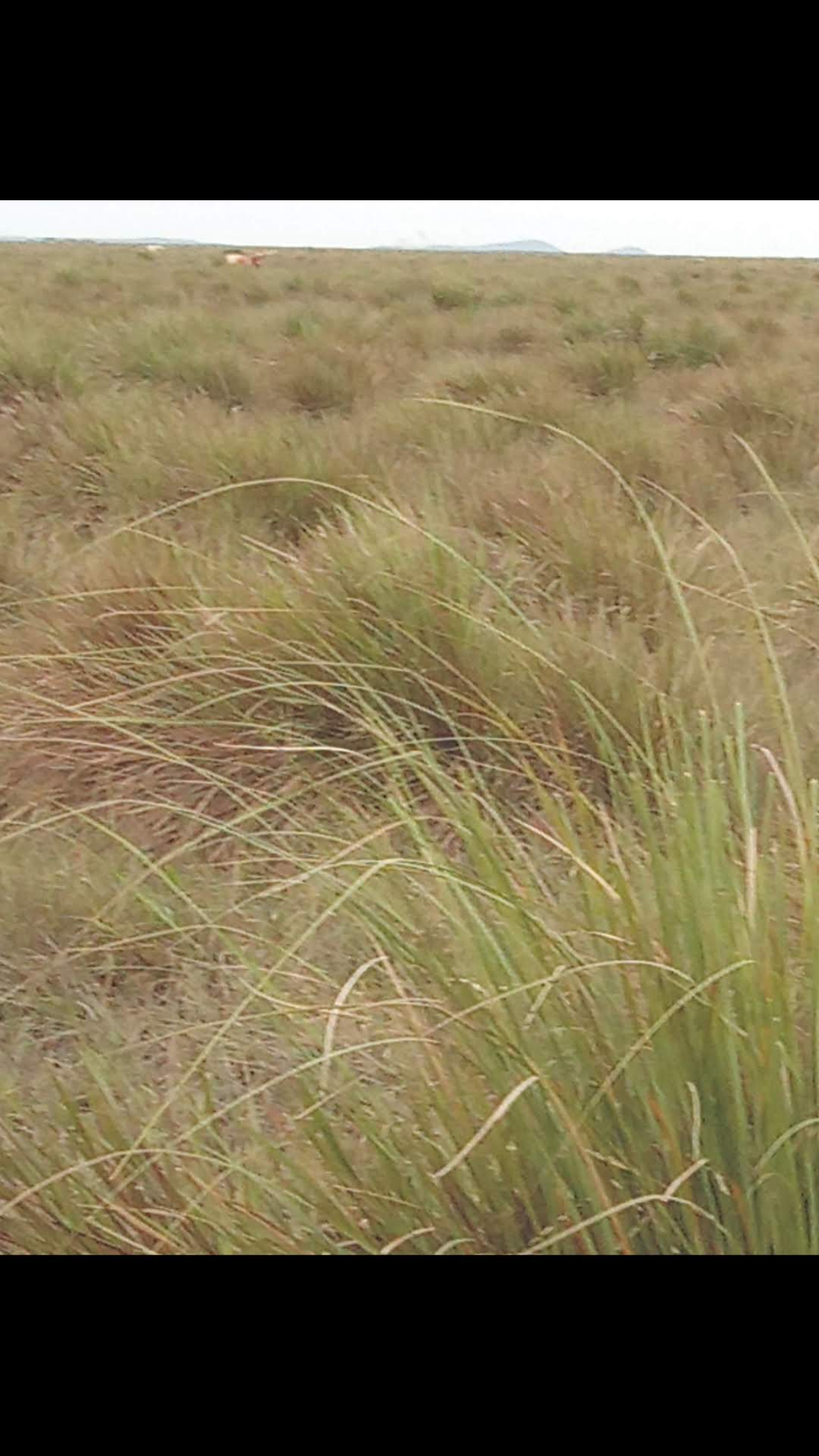 Propiedad rural — foto 3