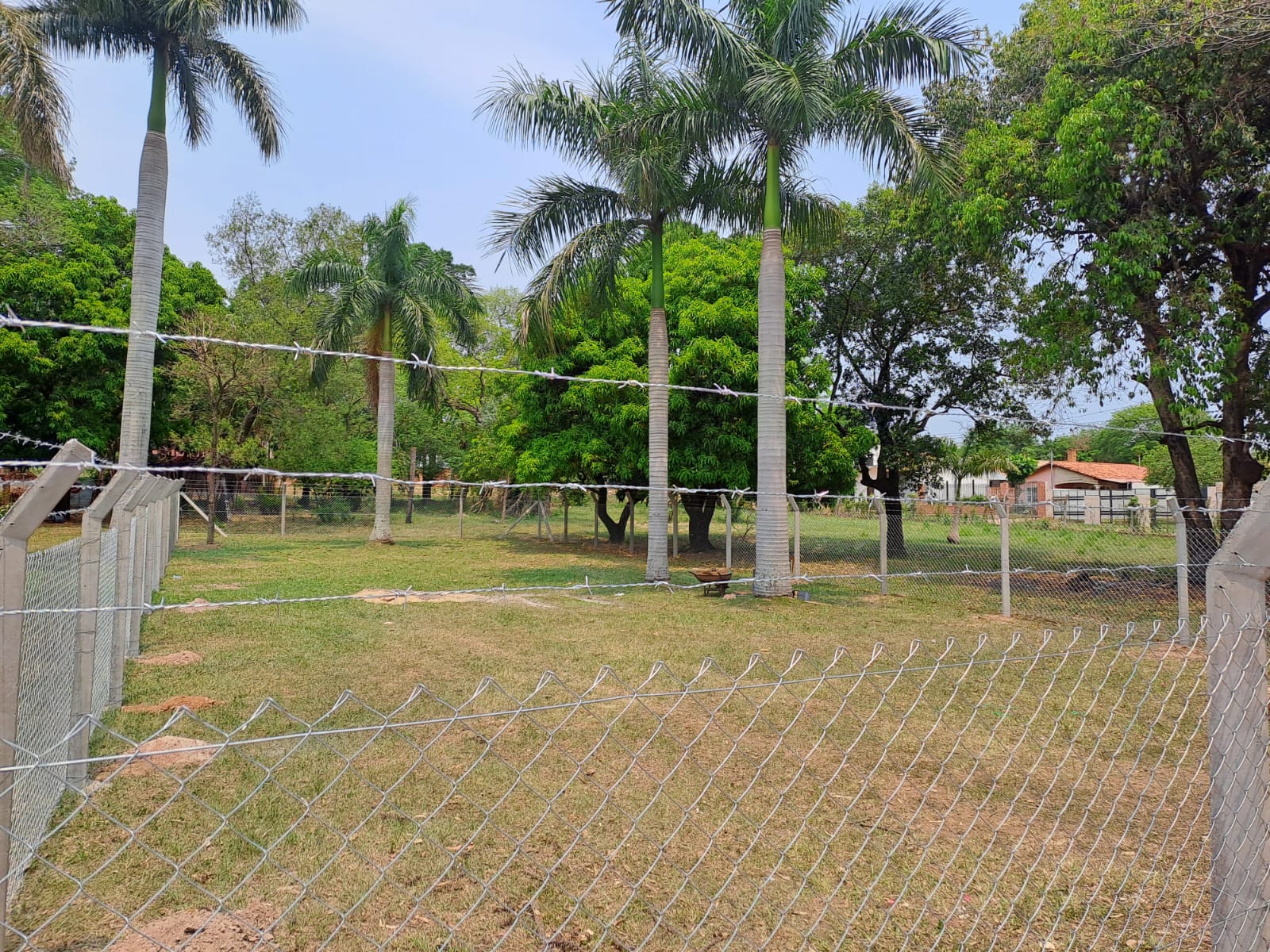 Terreno en venta en Laurelty, Luque — foto 2