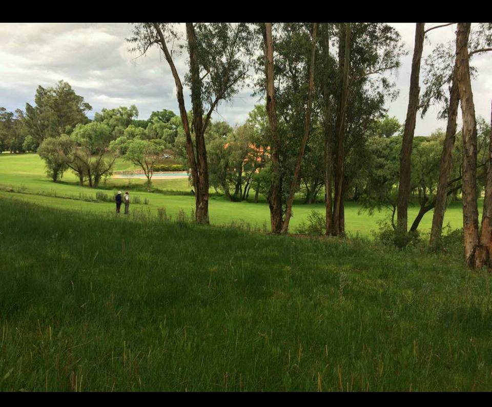 Hermoso Terreno