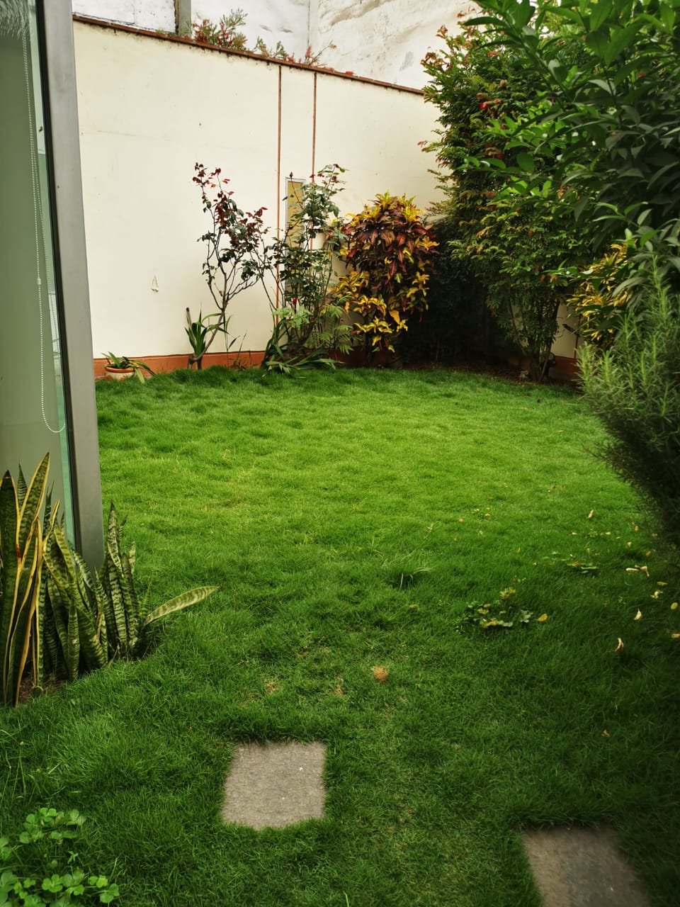 Imagen 5 de Casa