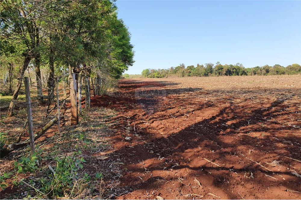 Campo en Venta de 160,8 Hectáreas — foto 2