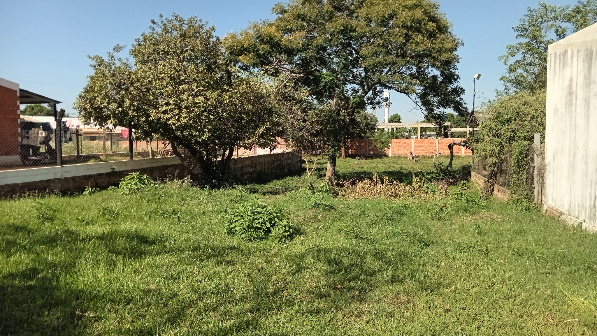 VENDO TERRENO EN CNEL. OVIEDO — foto 2