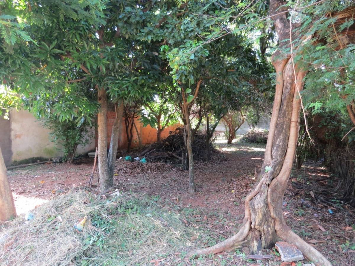 Terreno 360 m² en Barrio Cerrado La Floresta | Luque — foto 2