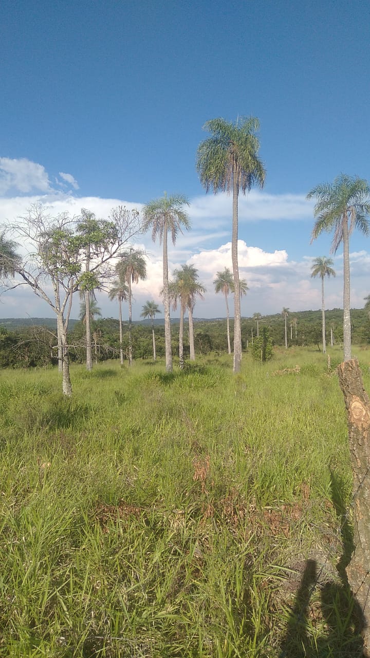 VENDO FABULOSAS HECTÁREAS SOBRE TERRAPLEN DE TODO TIEMPO EN PARAGUARI — foto 2