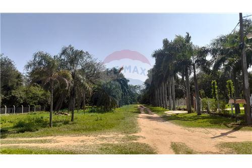 Terreno - Venta - Paraguay Cordillera San Bernardino — foto 3