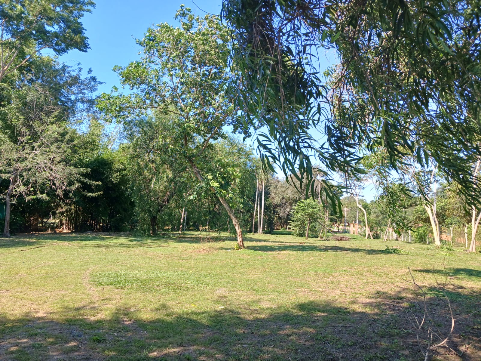 Terreno De 2 Hectáreas En San Bernardino – Barrio Ciervo Cuá — foto 3