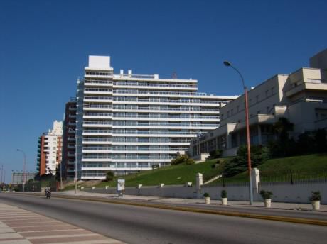 Torres Delphinus - Campiglia