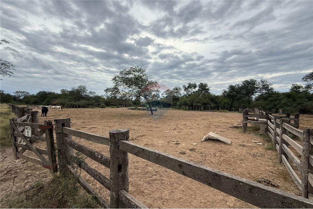 Vendo Campo Desarrollado en el Chaco, Neuland — foto 3