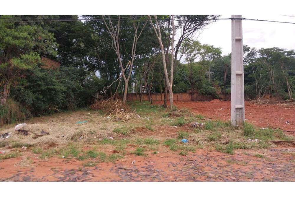 143025233-1 — foto 3