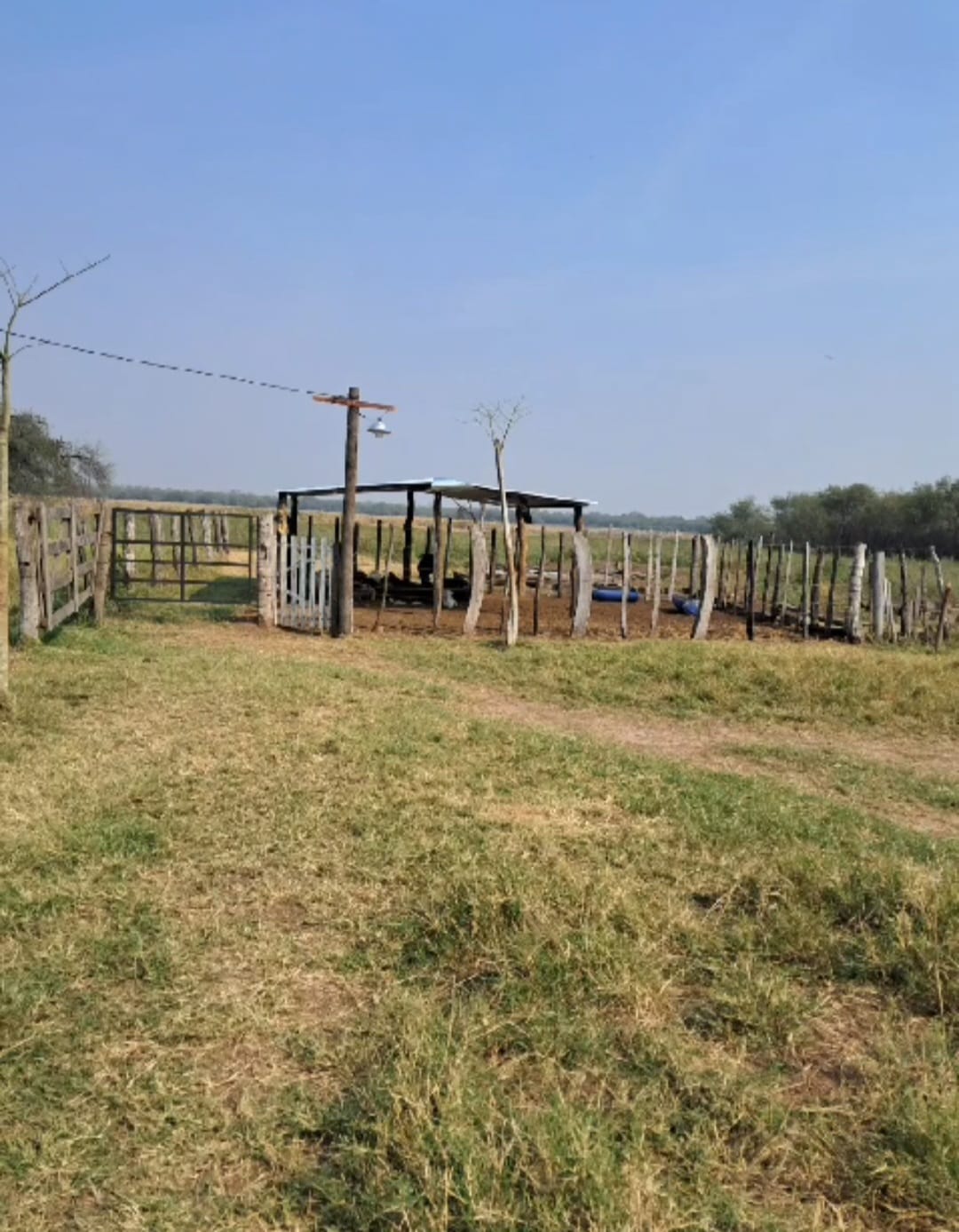 Campo en venta en Teniente Primero Manuel Irala Fernández — foto 2