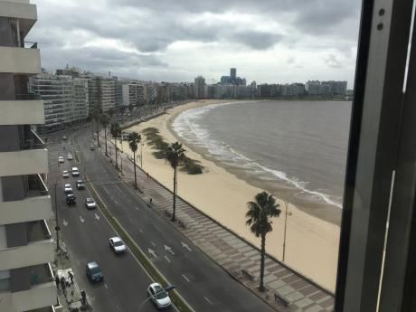 Alquiler Apto Con Muebles En Rambla A Metros Del Plaza Gomenzoro