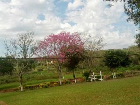 Se Vende Terreno De 25 Hectáreas En Itaugua