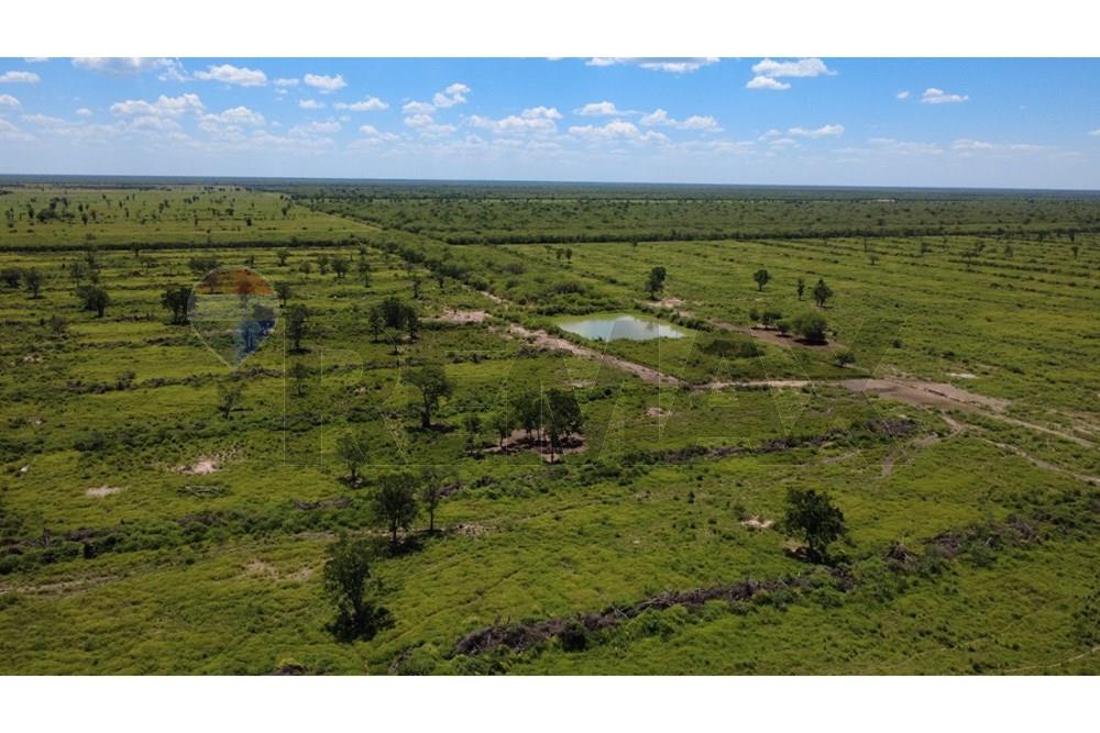 Vendo finca en Presidente Hayes — foto 3