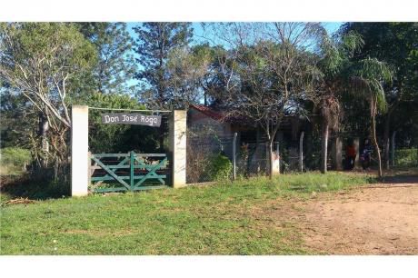 Terreno De 1 Hectárea En Caacupé