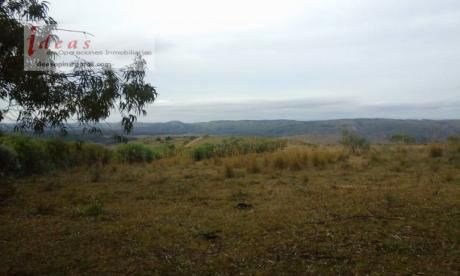 Campo En Treinta Y Tres, Isla Patrulla, 35 Has