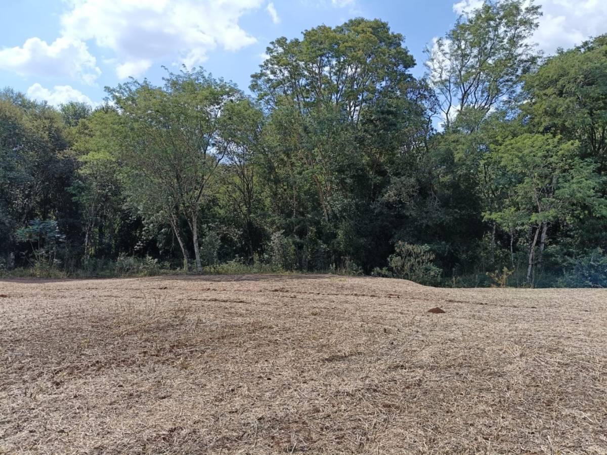 VENDO CAMPO OBLIGADO, ITAPU — foto 3